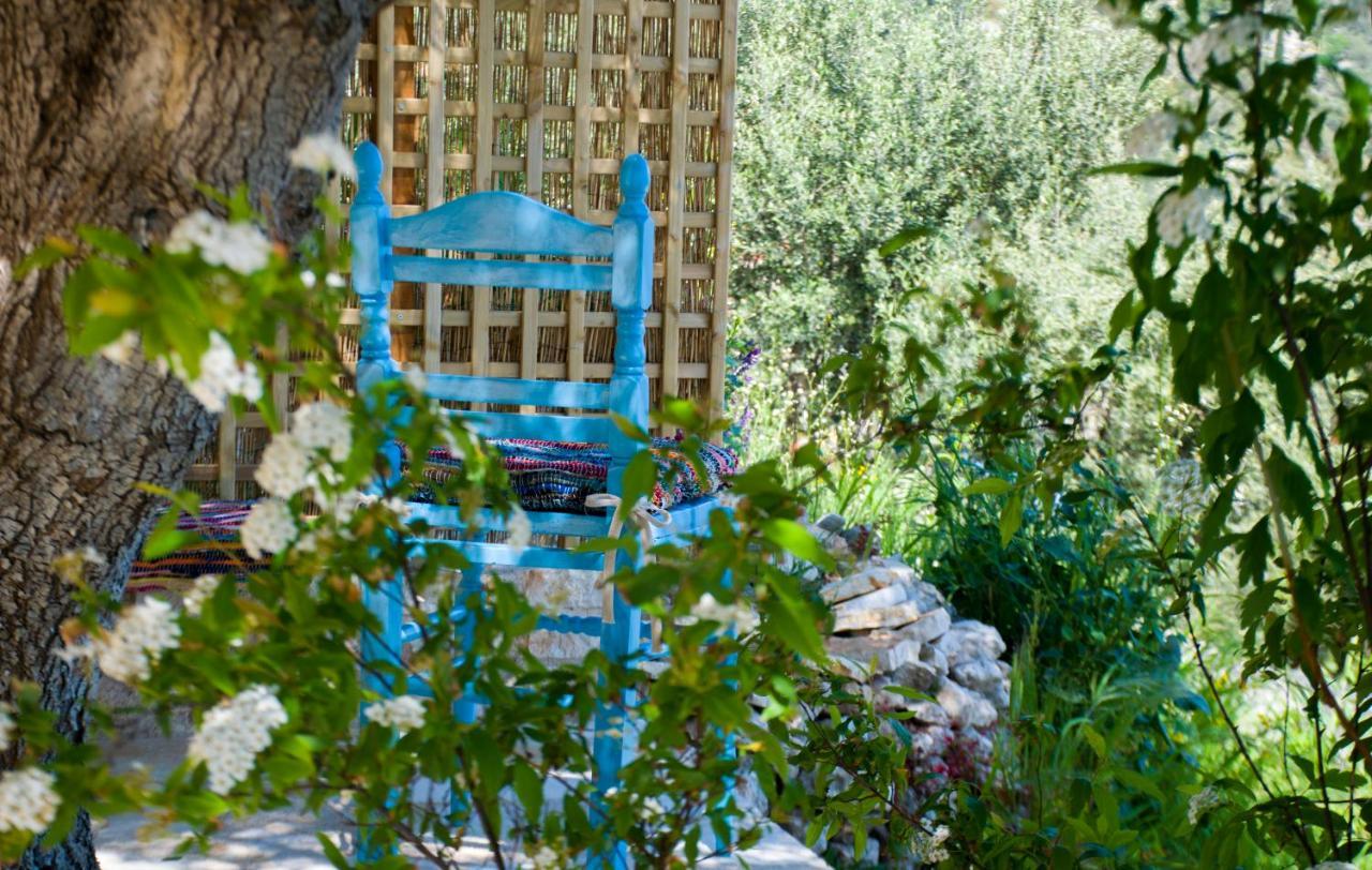 The Olive Cottage - Ithaca Vathy  Bagian luar foto