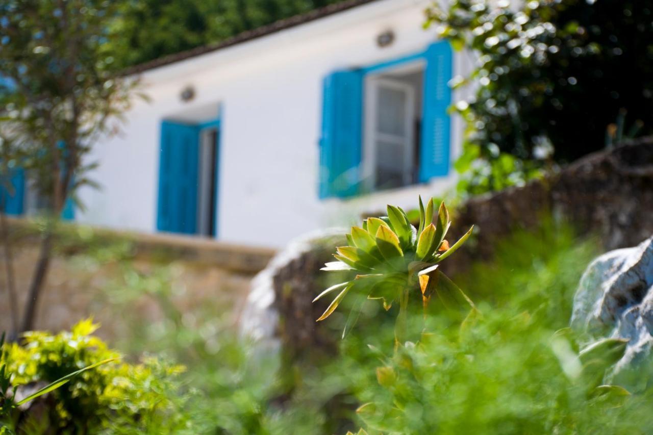 The Olive Cottage - Ithaca Vathy  Bagian luar foto
