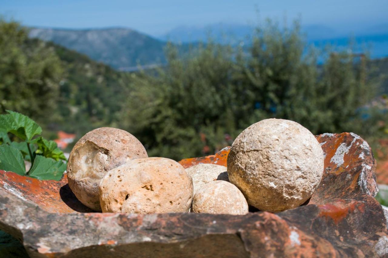 The Olive Cottage - Ithaca Vathy  Bagian luar foto