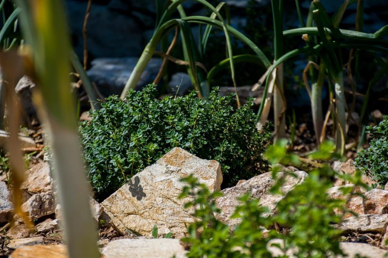 The Olive Cottage - Ithaca Vathy  Bagian luar foto